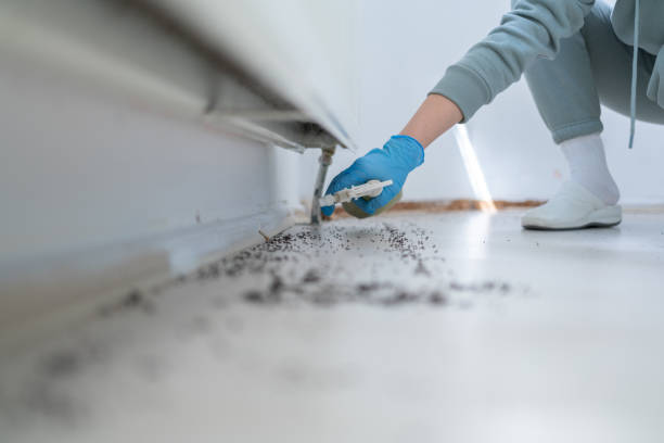 Pest Prevention Services in Bremen, OH